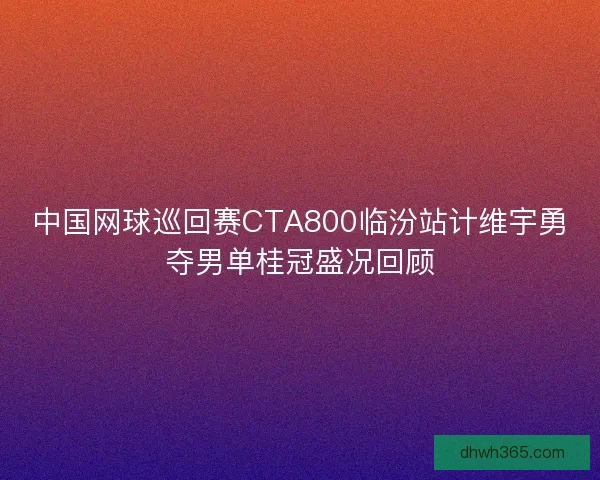中国网球巡回赛CTA800临汾站计维宇勇夺男单桂冠盛况回顾